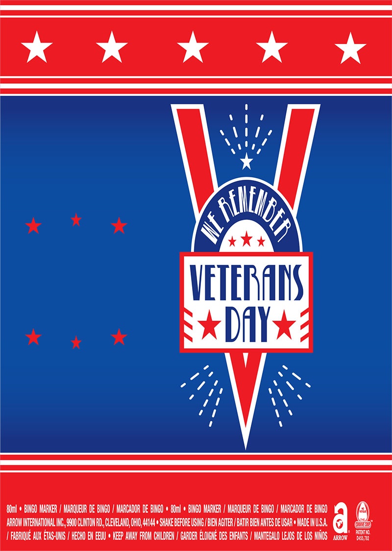 We Remember Veterans Day / Stars
