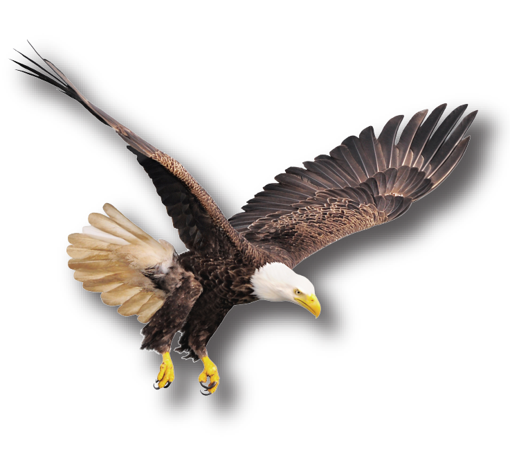 Patriotic Land of the Free