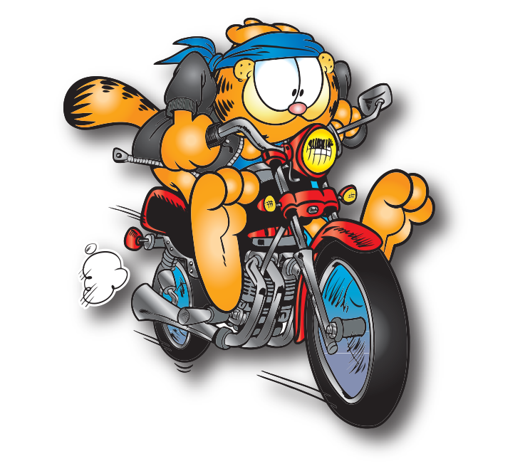 Rebel Garfield